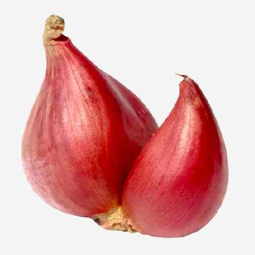 Working Boy T-Shirt - Image 3