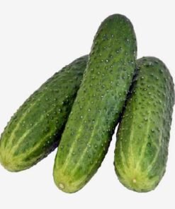 Alternative view of Slim Fit Dress Shirts