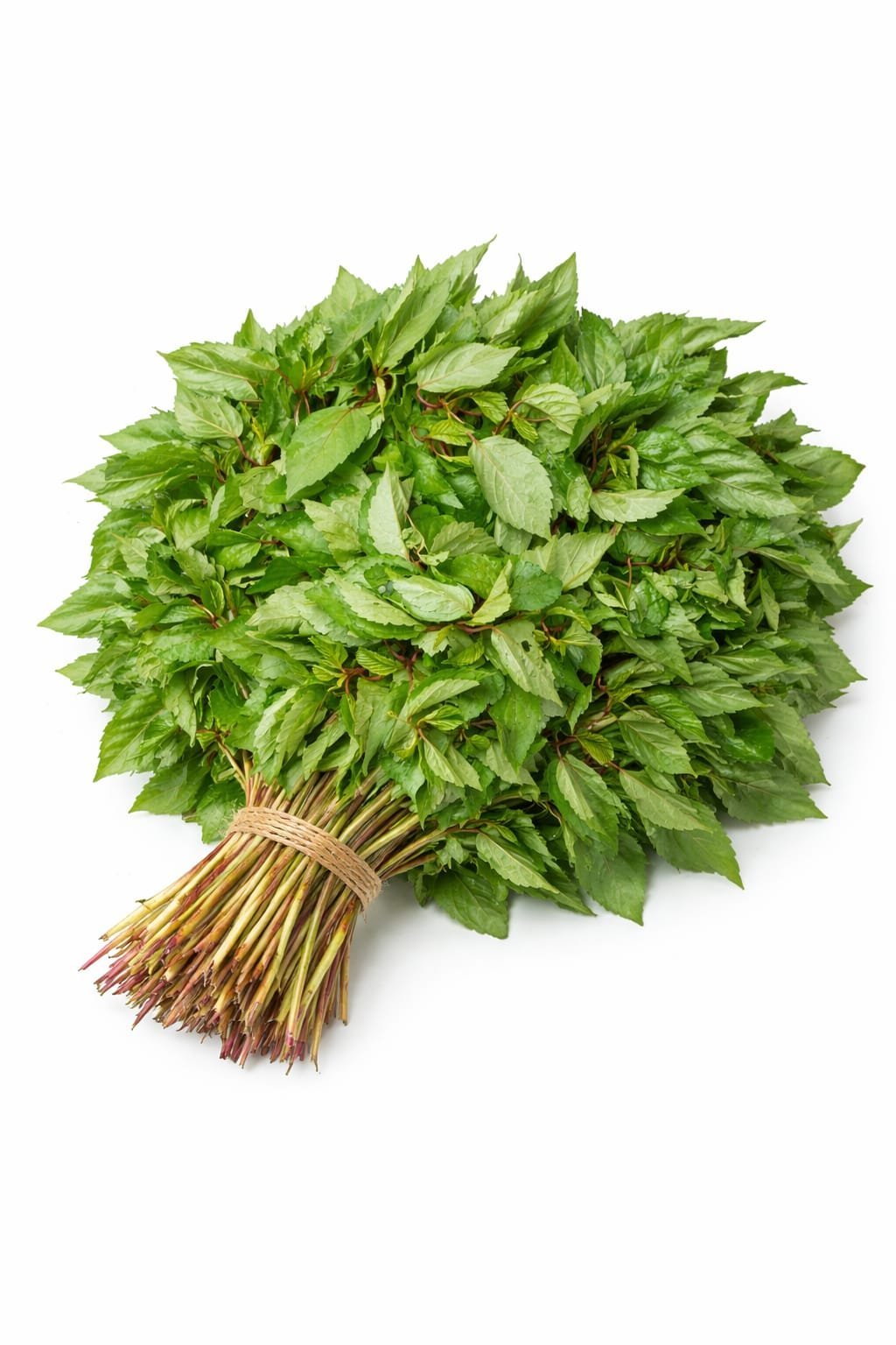 লেলটা শাক