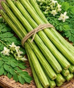 সজনে ডাঁটা (Moringa) 1kg